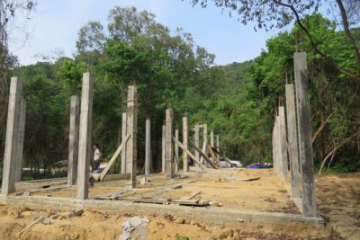 Khi nào có kết quả thanh tra dự án Khu cứu hộ và việc bảo vệ rừng tại Phong Nha?