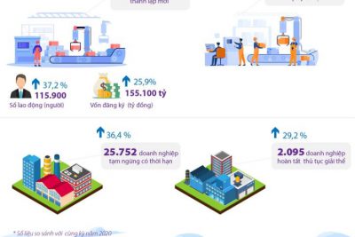 [Infographics] Trên 10.000 nghìn doanh nghiệp thành lập mới trong tháng 1/2021