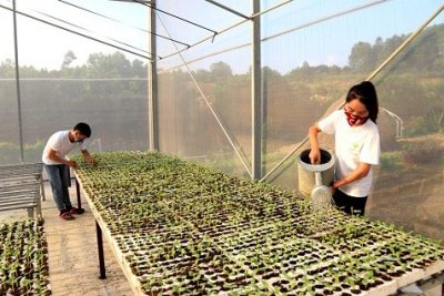 Ngành Nông nghiệp Hà Nội: Nhiều giải pháp thúc đẩy tăng trưởng