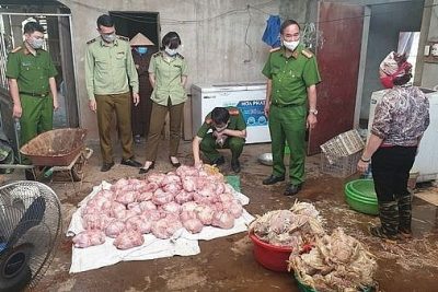 Công an Thái Nguyên: Phát hiện hơn 3 tấn gà hôi thối chuẩn bị bán ra thị trường