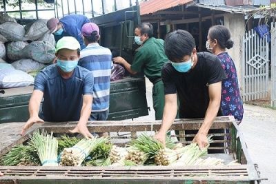 Bộ NN&PTNT đề nghị thành phố Hà Nội hỗ trợ cho các tài xế vận chuyển nông sản