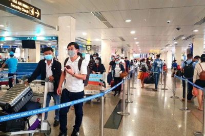 Hướng dẫn hành khách di chuyển trong dịp tết tại sân bay Tân Sơn Nhất