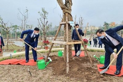 Quận Long Biên phát động “Tết trồng cây đời đời nhớ ơn Bác Hồ” xuân Nhâm Dần 2022