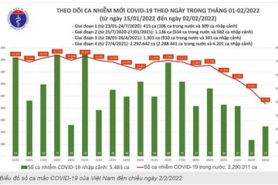 Tin Covid ngày mùng 2 Tết: Cả nước ghi nhận số ca mắc giảm mạnh