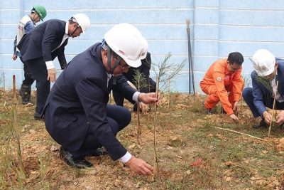 Tập đoàn Điện lực Việt Nam phát động Tết trồng cây năm 2023