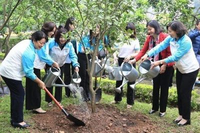 Hà Nội: Phụ nữ thành phố phát động Tết trồng cây năm 2023