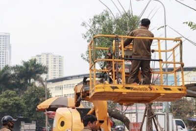 Hà Nội: Lên kế hoạch cắt tỉa cây xanh trước mùa mưa bão năm 2023