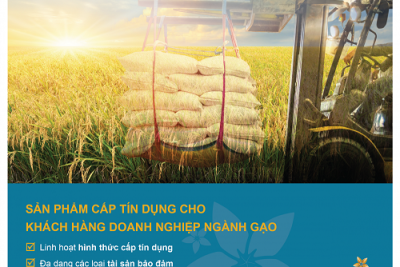 Doanh nghiệp ngành gạo đón “trợ lực” từ BAC A BANK